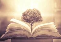 WordPress移除header很多没用的标记和元素